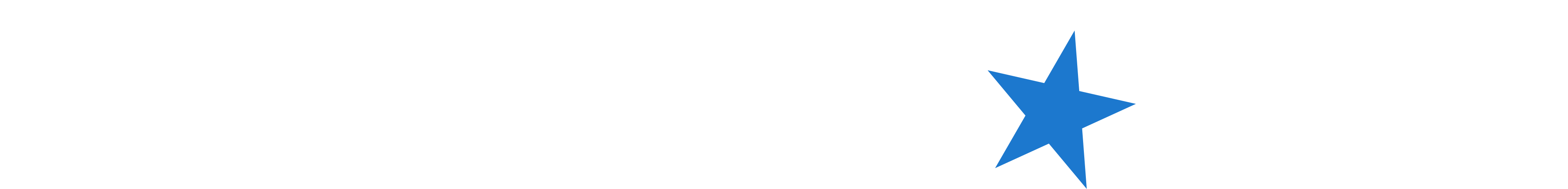 NorthStar Bets logo